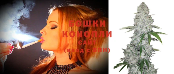 ПСИЛОЦИБИНОВЫЕ ГРИБЫ Липки