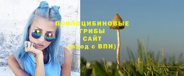 прущие грибы Лиски