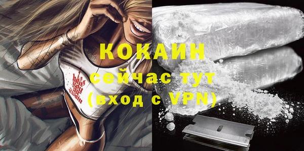 ПСИЛОЦИБИНОВЫЕ ГРИБЫ Липки