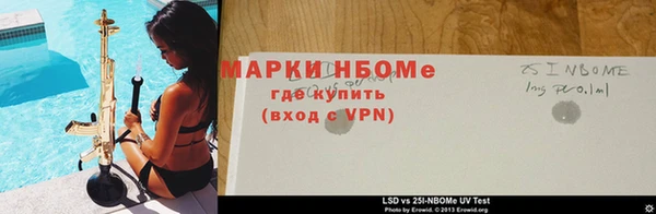 ПСИЛОЦИБИНОВЫЕ ГРИБЫ Липки