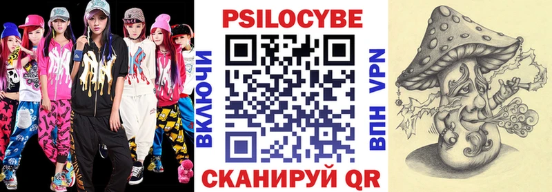купить наркотик  mega ссылка  Псилоцибиновые грибы прущие грибы  Петропавловск-Камчатский 